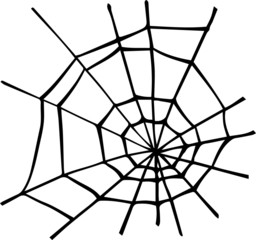 Obraz premium Illustration of spider web