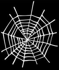 Illustration of White spider web