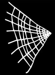 Illustration of White spider web