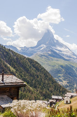 Zermatt, Findeln, Weiler, Findelbach, Matterhorn, Alpen, Wallis, Walliser Berge, Wanderweg, Alpenblumen, Edelweiss, Sommer, Schweiz