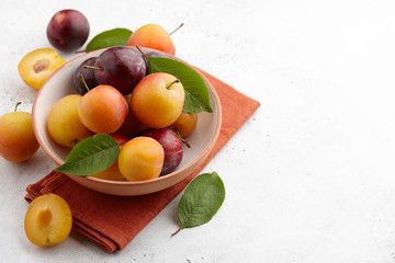 Fresh colorful plums with leaves in fruit bowl on white stone background, seasonal food