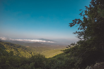 Un paysage d'été en montagne française