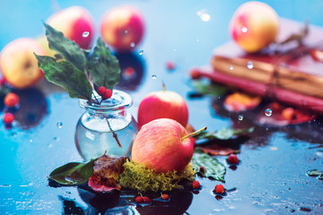 Autumn apples still life. Fall harvest header under the rain with water drops and copy space. Red small organic ranet apples with a glass jar and fallen leaves