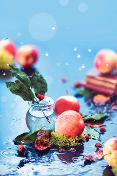 Autumn apples still life. Fall harvest under the rain with water drops and copy space. Red small organic ranet apples with a glass jar and fallen leaves