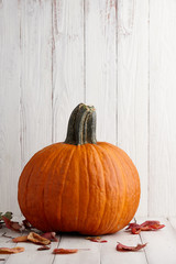 Large orange pumpkin in autumn leaves, Thanksgiving and Halloween fall decoration