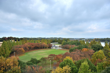 Fototapeta na wymiar 紅葉に染まる公園の情景