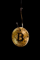 Bitcoin on a fishhook in black space  background.