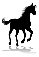 Obraz na płótnie Canvas Horse Silhouette Animal