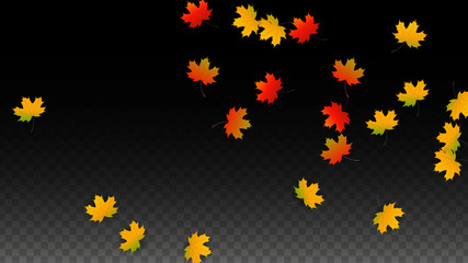 September Vector Background with Golden Falling Leaves. Autumn Illustration with Maple Red, Orange, Yellow Foliage. Isolated Leaf on Transparent Background. Bright Swirl. Suitable for Posters.