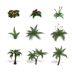 Fototapeta na wymiar Set of plants in isometric style. Cartoon tropical tree and fern on white background. Isolated image of jungles palm and bush. Vector illustration