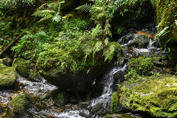 a hike through the wild Ysperclammy