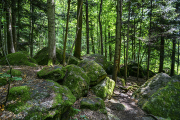 a hike through the wild Ysperclammy