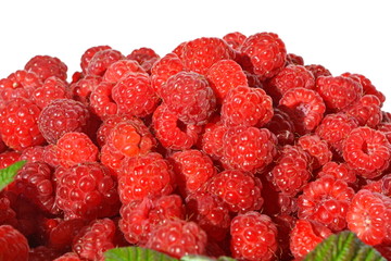 Heap of fresh harvested red ripe juicy sweet raspberry with green leaves Isolated. White background. Close up