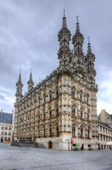 Leuven City Hall Belgium