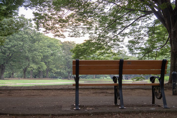 Obraz premium 公園