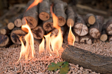 Pile of Wooden biomass