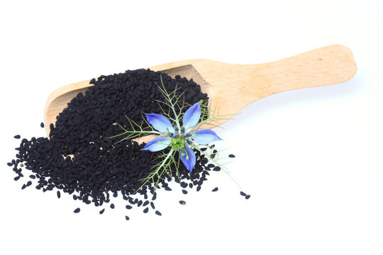 5,724 BESTE Nigella BILDER, STOCKFOTOS & Adobe Stock