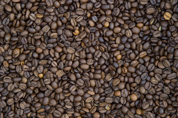 Close-up view of roasted coffee beans in man's hands.