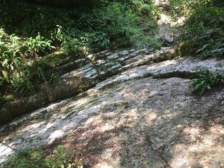 горный склон 1