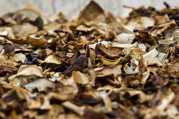 Dried boletus close-up. Background of dried mushrooms.