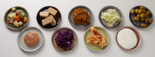 Assorted fermented foods in panorama banner