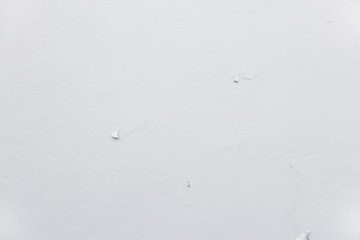 White Cement Wall Background. photo