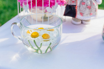 Camomile flowers in the clear tea cup