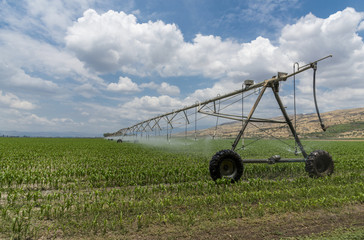 Lateral move irrigation system 