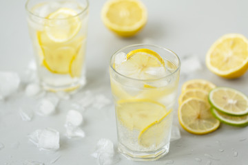 Alcoholic drink (gin and tonic) with lemon, lime, mint  and ice.