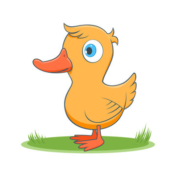 happy cartoon duck