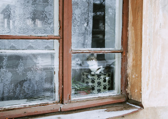 Winter window