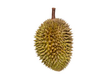 Closeup of durian fruits isolated on white