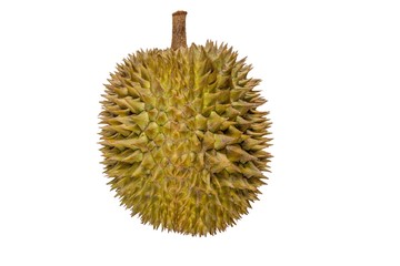 Closeup of durian fruits isolated on white