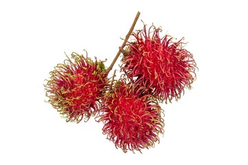 Closeup of rambutan fruits isolated on white background