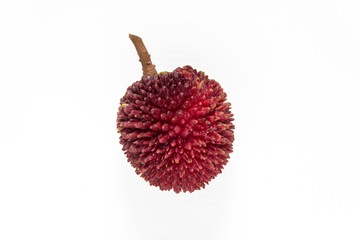 Pulasan fruit isolated on white background. The pulasan, Nephelium mutabile Blume (family Sapindaceae), is a tropical fruit closely allied to the rambutan