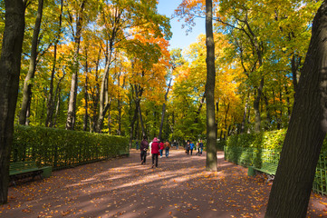 Fototapeta premium Summer Garden in Saint-Petersburg, Russia