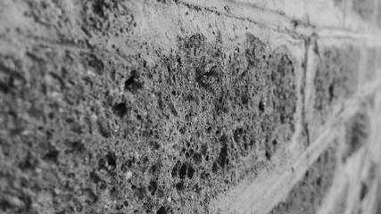 mattone poroso in bianco e nero