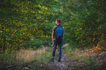 Young man in bandana on forest path in evening sunlight.
