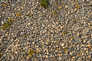  Background from sea pebbles on a beach