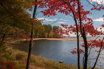 Trees with a red bright autumn foliage on the shore of a deserted lake.  USA. Maine.

