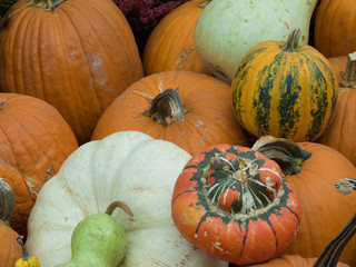 Orange and Green Pumpkins