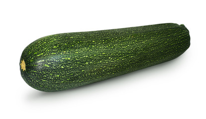 One large raw zucchini on a white background. Crude summer vegetable
