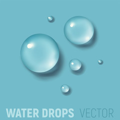 Drops of water. 3d realistic vector illustration. Realism style. Macro