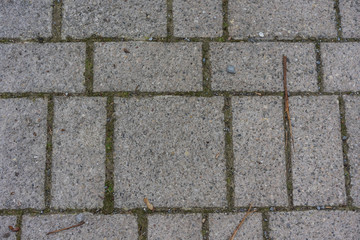 stone concrete path with lines