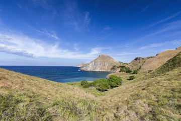 Grasslands and small trees near a small bay on Pulau Padar island in the Komodo National Park.