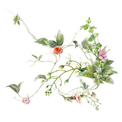 watercolor painting of leaves and flower, on white background