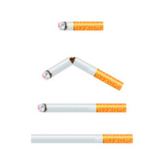 Realistic design of 4 various sizes of cigarette. Burning, no burning and broken 3d design style vector illustration isolated on white background.