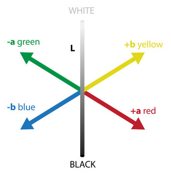 CIELAB, L*a*b* or Lab - a device independent colour space which include green, red, yellow, blue, white and black colors. Vector scientific illustration