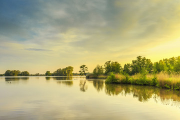 Water with islands on which trees in nature reserve the Nieuwkoopse plassen during sunrise with reflection in the water and warm colours of the rising sun  and an air full of flying insects