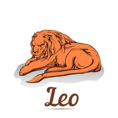 Big lion, recreation, cartoon on white background,